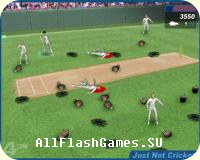 Flash игра Just not cricket
